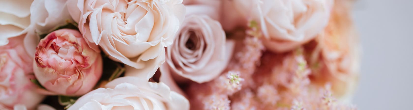 当相談所について